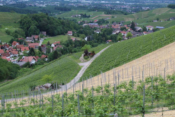 Lindenplatz – Bild 4