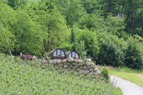 Rieslingplatz – Bild 2