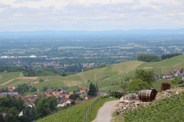 Rieslingplatz – Bild 4